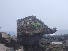 -涉地可支