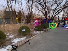 -枫花园汽车电影院(朝阳公园店)