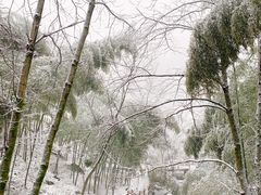 -藏龙百瀑风景区