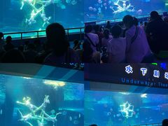 -泉城欧乐堡海洋极地世界