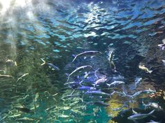 -华夏文旅西安度假区