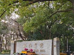 -西郊宾馆-地面停车场