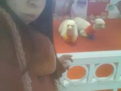 -沈阳商业城(中街路店)