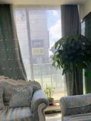 -苗医生0感祛痘连锁