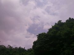 android_upload_pic-火炉山森林公园