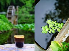 -三忘湖 SWANSEEN(柳荫公园店)