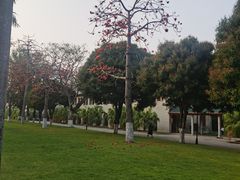 -厦门大学(思明校区)