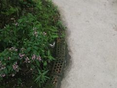 -青瓦房古村落