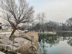 -渭滨公园