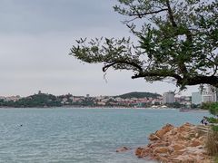 -八大关景区