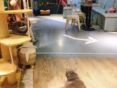 大堂-小时光咖啡馆(开森度假森林店)