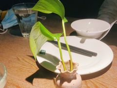 -青叶202都市餐厅(迪诺水镇店)