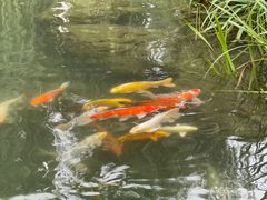 -春风习习