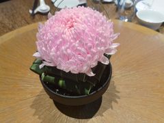 -宁波柏悦酒店·钱湖渔港