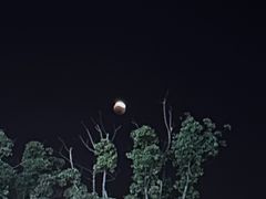 -迈秀量贩KTV(飞航广场店)