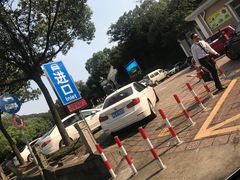 -上海佘山国家森林公园东门地面停车场