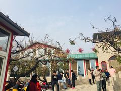 -闻道食府烙饼卷带鱼(原车耳营店原大觉寺店)