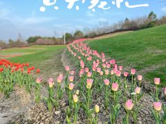 -花开海上生态园