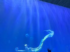 -华夏文旅西安度假区