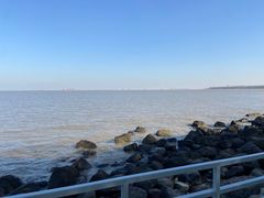 -上海吴淞炮台湾国家湿地公园