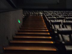 -万达影城(湛江万达广场IMAX店)