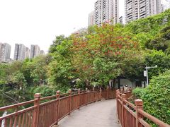 -重庆彩云湖湿地公园