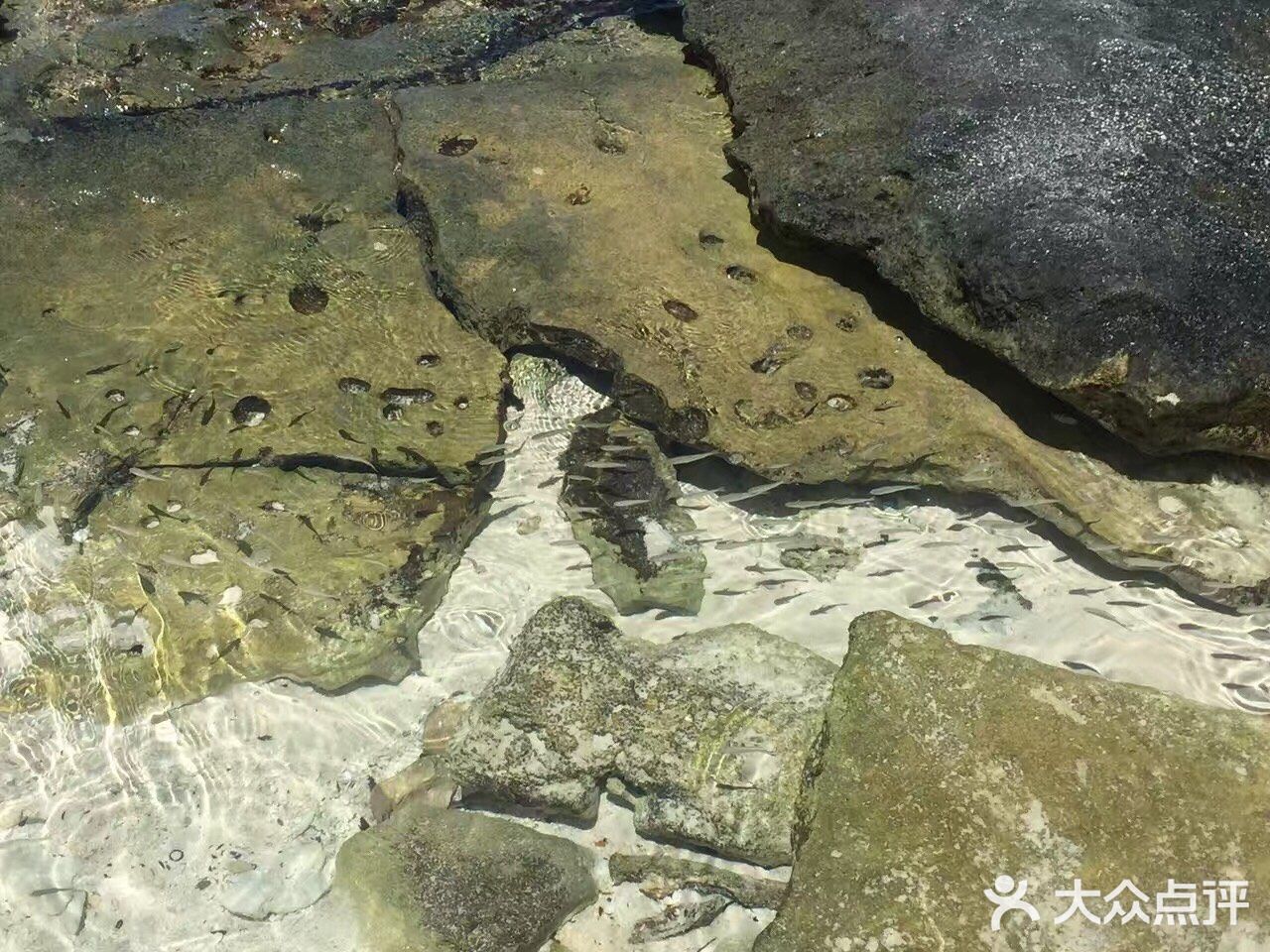 天晴时阳光下海水碧绿,非常美。岛上有专供浮潜的地方