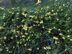 -苏州河梦清园环保主题公园