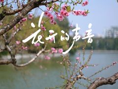 -西湖公园(鼓楼区)