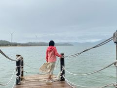 -汕尾风车岛