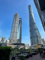 -巍阁高端月子会所