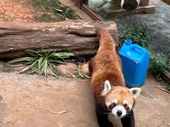 -云南野生动物园