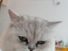 -贝利宠物医院·骨科·眼科·肿瘤转诊中心(南坪诊疗中心)
