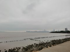 -深圳湾公园(南山区)