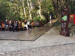 -上海佘山国家森林公园西佘山园