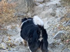 -北京西山国家森林公园