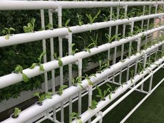 -迪茵湖田家舍生态农场