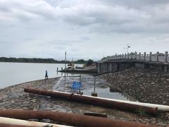 -大湾区中央湿地公园-十九涌