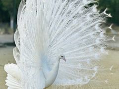 -韶关经律论国际酒店温泉