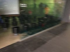 -中国湿地博物馆