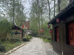 -合肥滨湖国家森林公园