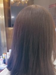-YESIDO椰岛造型