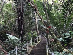 -七仙岭温泉国家森林公园