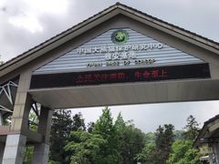 -中国大熊猫保护研究中心雅安碧峰峡基地