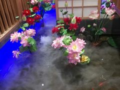 -九田家黑牛烤肉料理(郫都万达檬柏西路店)