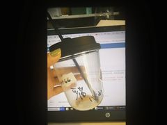 -T-COFFEE(长江花园店)