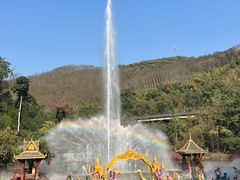-西双版纳原始森林公园