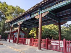 -北陵公园