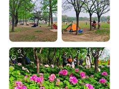 -太阳宫公园