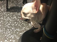 -Moka Bros 摩卡站(嘉华店)